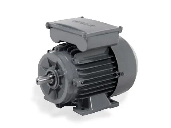 3 kw 3000 d/d Monofaze Elektrik Motoru