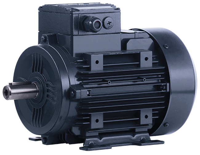ELK 0.25 kw (1/3 HP) 1000 D/D (3EL071M6D) 380 V Trifaze IE3 Elektrik Motoru - Alüminyum